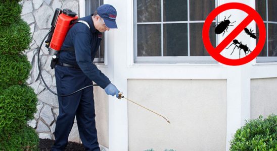 Tortum Hamam Böceği İlaçlama böcek ilaçlama ve haşere kontrolü — ilaclama-tr.com